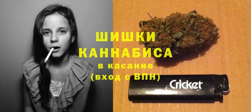 где можно купить наркотик  мега ссылка  МАРИХУАНА SATIVA & INDICA  Морозовск 